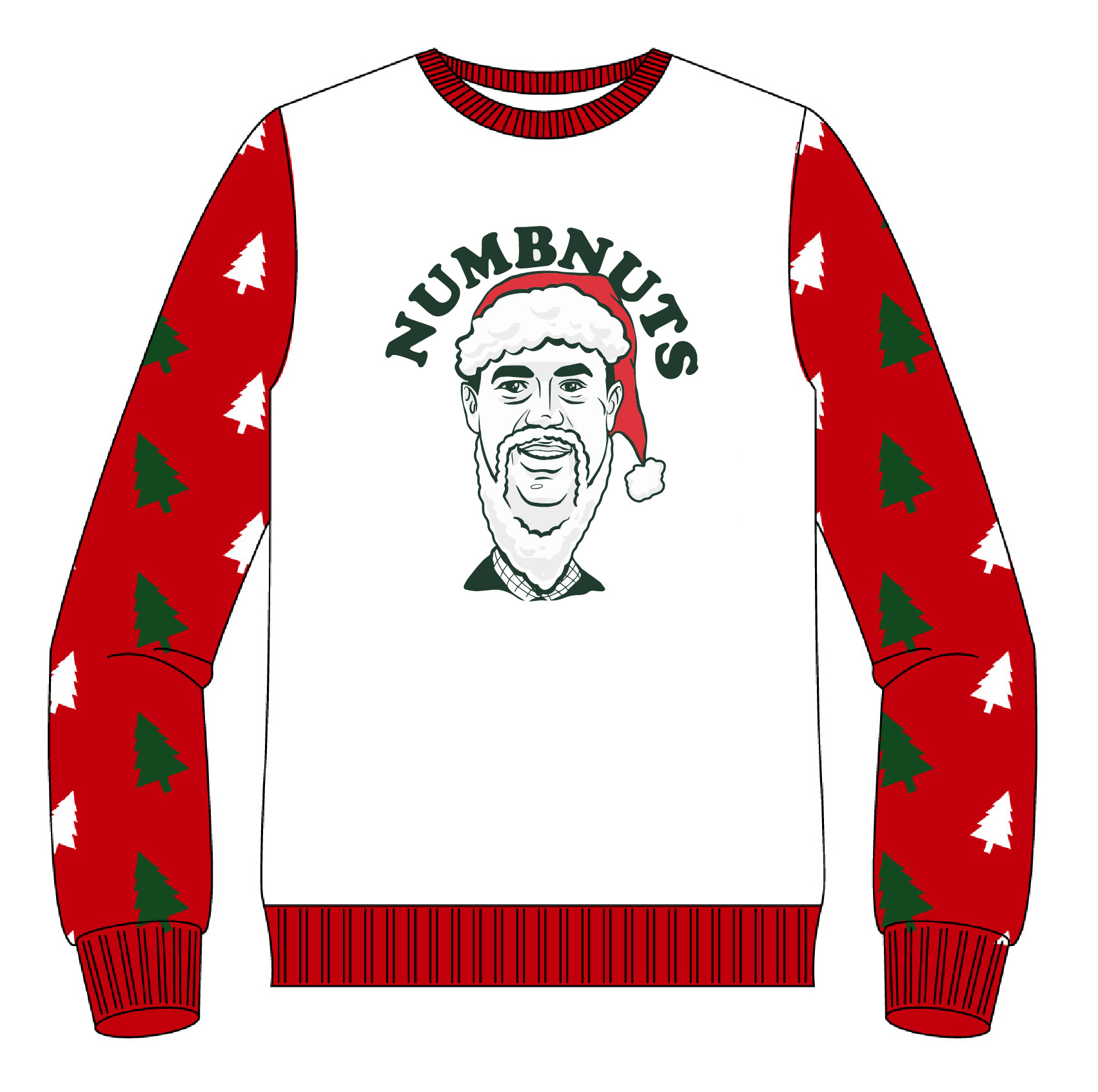 Numbnuts Christmas Sweater