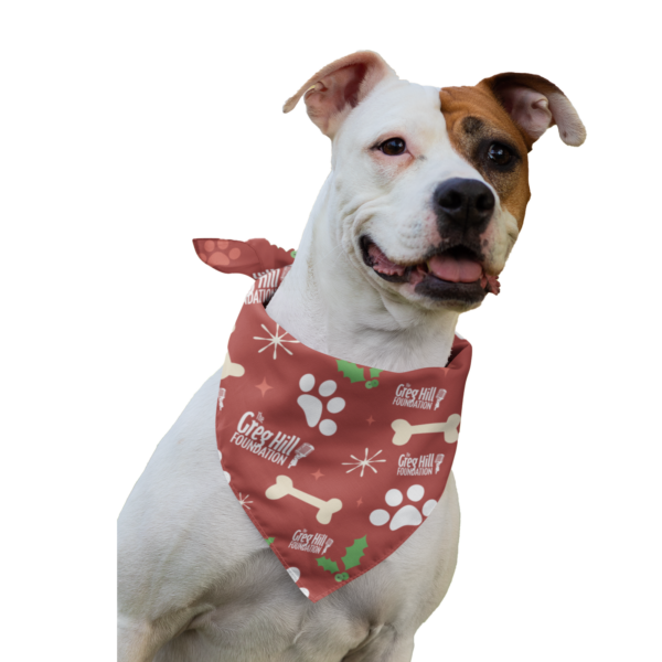 Jingle Dog Bandana
